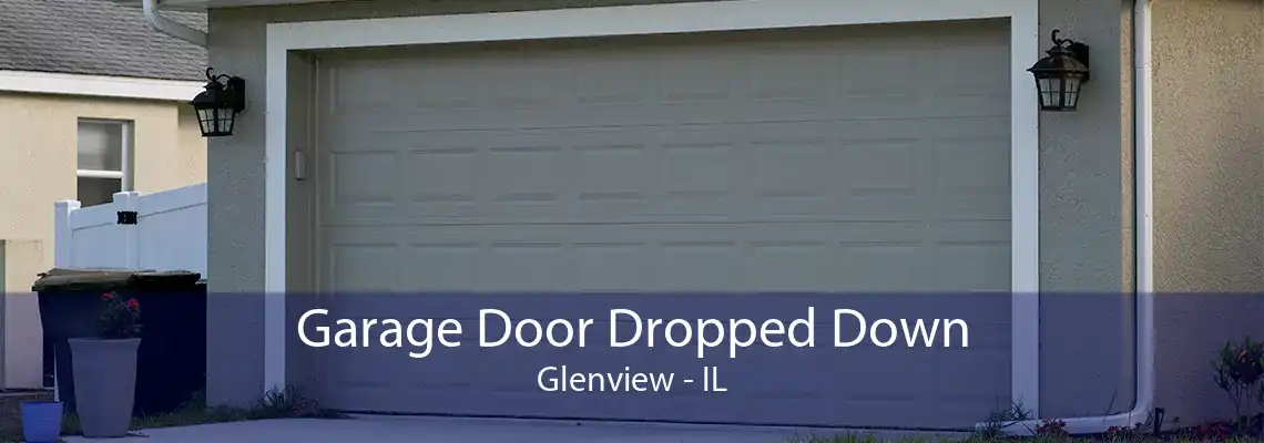 Garage Door Dropped Down Glenview - IL