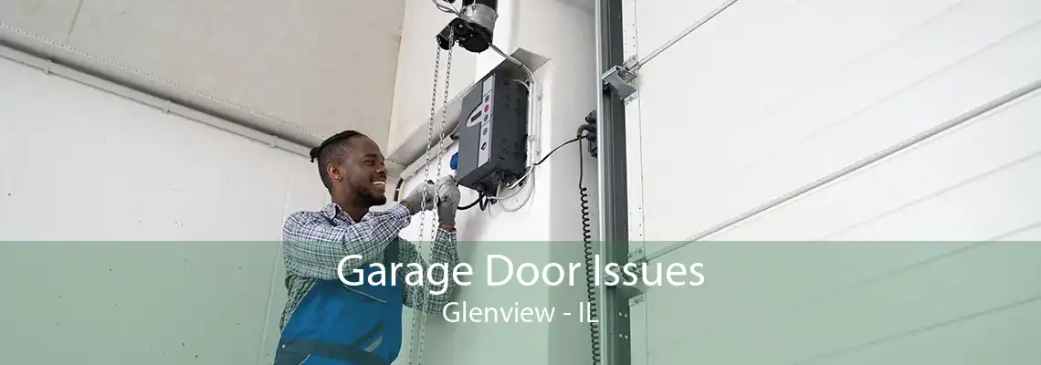 Garage Door Issues Glenview - IL