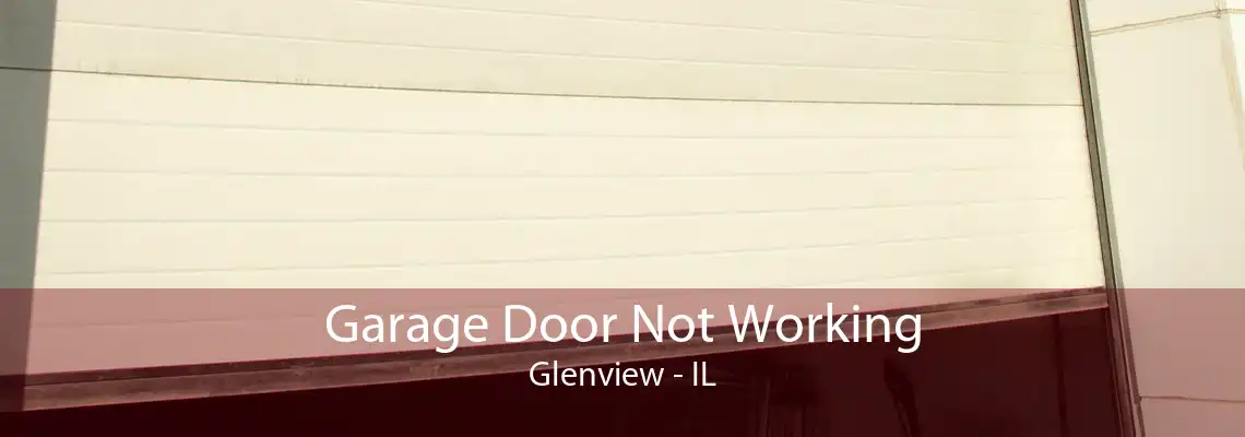 Garage Door Not Working Glenview - IL