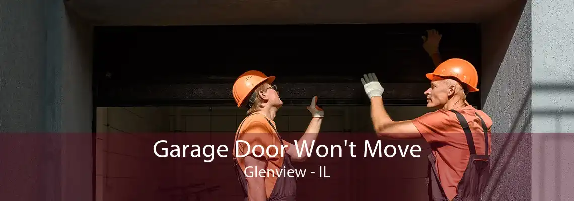 Garage Door Won't Move Glenview - IL