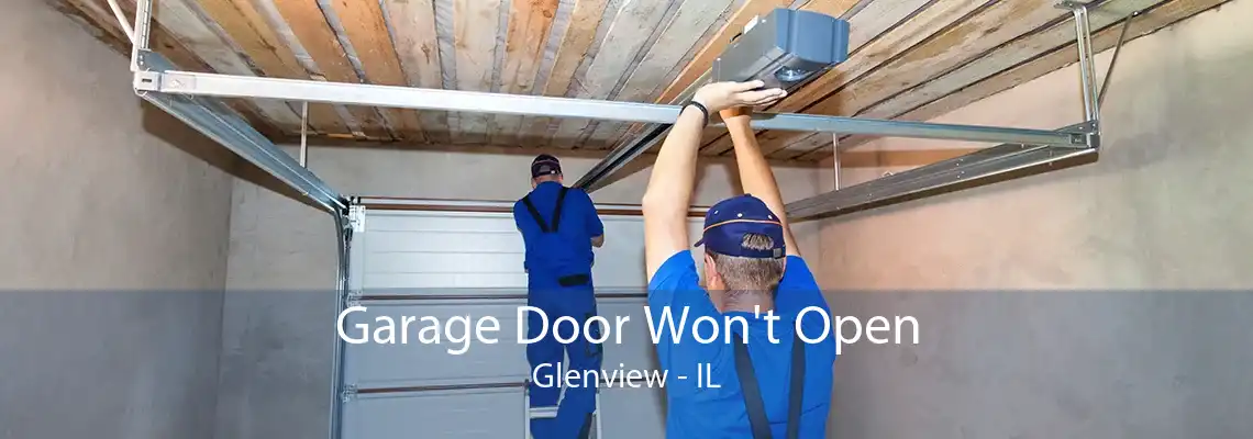 Garage Door Won't Open Glenview - IL